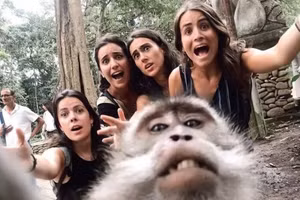 Khoảnh khắc động vật dễ thương khiến người xem bật cười