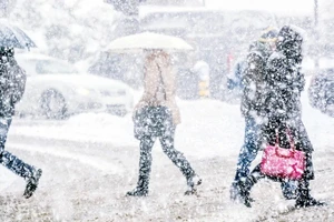 Mùa đông năm nay được dự đoán khắc nghiệt.