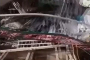 Đòn trả đũa bằng drone Arash-2 từ Iran khiến sân bay lớn nhất Israel tê liệt