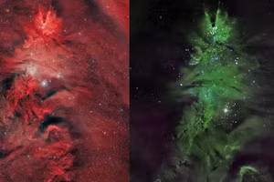 Cây thông vũ trụ lộ diện bí mật hình thành sao dữ dội trong Ngân Hà