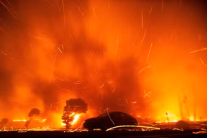 Đồi Hollywood bùng cháy dữ dội: Chùm ảnh lưỡi liềm lửa siết chặt Los Angeles