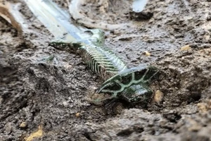 Thanh kiếm được khai quật tại Nördlingen.