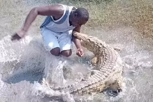 Video: Giật đuôi cá sấu, người đàn ông nhận hậu quả tức thời