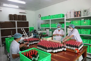 Hoạt động của Công ty TNHH Trà Vinh Farm.