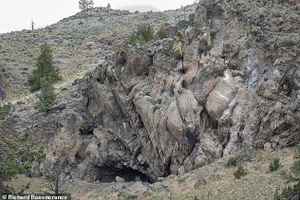 Các hiện vật được phát hiện trong những hang động thuộc vùng Great Basin phía bắc Oregon, Mỹ.