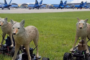 Robot sói đồng cỏ của Quân đội Hoa Kỳ. Ảnh: ERDC.