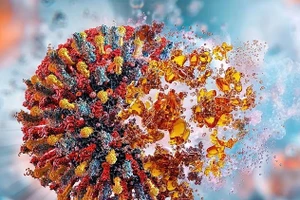 Vaccine đột phá này ngăn ngừa ung thư hắc tố, ung thư tuyến tụy và ung thư vú ở chuột - và các nhà khoa học cho biết nó có thể có hiệu quả ở người