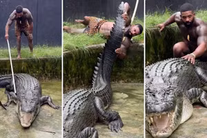 Du khách Mỹ gây phẫn nộ vì vật cá sấu để quay video TikTok