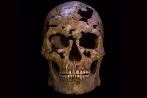 Hộp sọ được phục dựng của một người đàn ông đã chết cách đây 12.000 năm