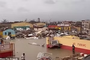 Cá sấu tràn vào phố sau siêu bão Melissa gây lo ngại