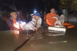 Bão Bualoi càn quét Philippines, gió giật tới 135km/h