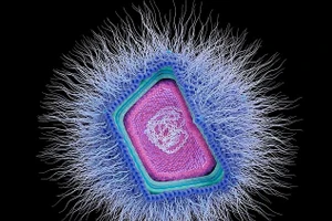 Virus khổng lồ là một nhóm đa dạng và phức tạp, có khả năng lây nhiễm từ sinh vật nhân thực đơn bào đến động vật. Trong hình: Minh họa một virus DNA khổng lồ thuộc nhóm nucleocytoplasmic.