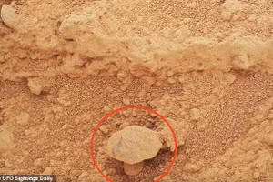 Những người săn tìm UFO đã nắm bắt được cấu trúc kỳ lạ này, tuyên bố đây là bằng chứng về sự sống trên sao Hỏa.