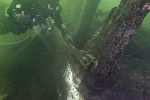 ‘Lâu đài nổi’ hé lộ pháo cổ và bí mật tàu chiến thế kỷ XV