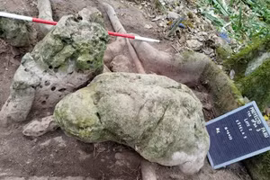 Tài liệu từ Bộ Văn hóa và Thể thao Guatemala cho thấy các tác phẩm điêu khắc hình người được phát hiện tại Khu dự trữ sinh quyển Maya ở tỉnh Petén, Guatemala. Ảnh: Bộ Văn hóa và Thể thao Guatemala/AFP/Getty Images