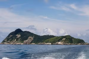 Đảo Rắn nằm cách bờ biển phía đông nam Brazil 34 km trên Đại Tây Dương. (Ảnh: Leo Francini / Alamy Stock Photo)