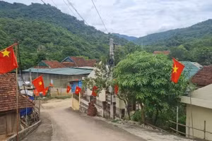 Công tác giảm nghèo ở Nghệ An đạt nhiều kết quả tốt. Ảnh BNA