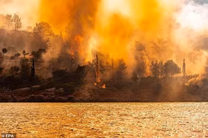 Hình ảnh châu Âu chao đảo vì nắng nóng, cháy rừng và giông lũ dữ dội