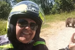 Du khách bị gấu kéo xuống vực sau khi chụp ảnh tự sướng với gấu con