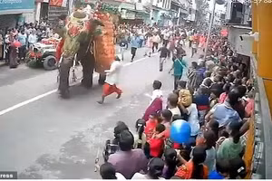 Con voi dường như đang tìm cách thoát khỏi đường phố đông đúc khi nó lao về phía lan can, với hàng chục người chạy theo nó.