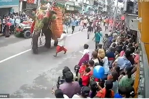 Con voi dường như đang tìm cách thoát khỏi đường phố đông đúc khi nó lao về phía lan can, với hàng chục người chạy theo nó.