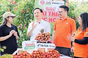 Phó Chủ tịch UBND tỉnh Bắc Ninh Phạm Văn Thịnh (áo trắng) tham gia buổi livestream, giúp bà con nông dân bán vải thiều. Ảnh: Khương Lực