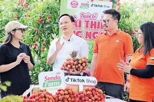 Phó Chủ tịch UBND tỉnh Bắc Ninh Phạm Văn Thịnh (áo trắng) tham gia buổi livestream, giúp bà con nông dân bán vải thiều. Ảnh: Khương Lực