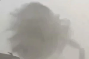 Bão dữ quật Tây Ban Nha, cây bật gốc, đường thành sông