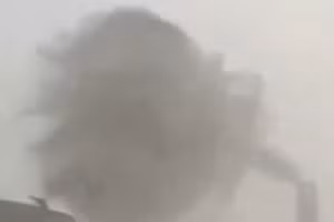 Bão dữ quật Tây Ban Nha, cây bật gốc, đường thành sông