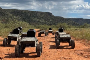 Một nhóm UGV FireAnt trên con đường đất đỏ. Ảnh: Swarmbotics AI