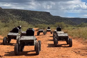 Một nhóm UGV FireAnt trên con đường đất đỏ. Ảnh: Swarmbotics AI