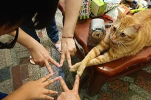 Loạt ảnh chứng minh động vật cũng có ngày 'khó ở'