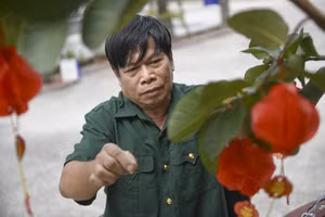 Bác Nguyễn Công Thắng – cựu chiến binh đang được chăm sóc tại Trung tâm Điều dưỡng Thương binh và Người có công Long Đất – chăm chút cho góc Tết trước phòng ở (Ảnh: Minh Anh).