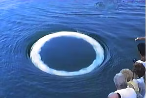 Các nhà nghiên cứu từ Viện SETI và Đại học California-Davis tiết lộ rằng những bong bóng lớn giống như 'vòng khói' phát ra từ dưới nước được tạo ra bởi cá voi lưng gù, không phải từ người ngoài hành tinh.