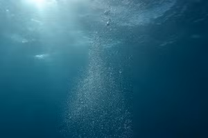 Hình ảnh minh họa dưới nước