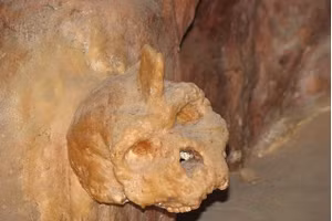 Hộp sọ Petralona được tìm thấy dính vào tường trong một hang động nhỏ vào năm 1960. Một nghiên cứu mới hiện cung cấp ước tính tuổi chính xác cho hộp sọ gần như hoàn chỉnh.