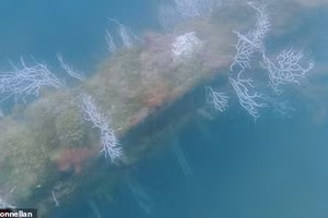 Các cấu trúc khổng lồ được tìm thấy ở độ sâu khoảng 20 mét dưới mặt nước. Nhóm nghiên cứu cũng xác định được những "cấu trúc dài, thẳng" được khắc trên đáy đại dương.