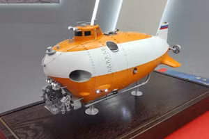 Ảnh: Dmitry Boltenkov.