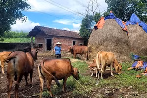 Đẩy mạnh tuyên truyền chỉ thị số 39-CT/TƯ ở Bố Trạch