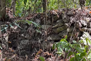 Thành phố này nằm ở trung tâm rừng rậm Mexico và từng là nơi người Maya chống lại quân Tây Ban Nha trong hơn một thế kỷ trước khi bị bắt và thất thủ vào giữa thế kỷ 18.