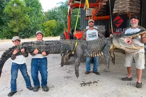 Trận chiến nghẹt thở với cá sấu nặng 300 kg, dài 4,27 mét kéo trôi thuyền
