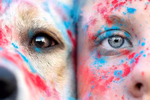 Những khoảnh khắc gây ấn tượng tại giải thưởng nhiếp ảnh thú cưng