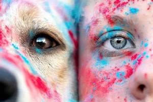 Những khoảnh khắc gây ấn tượng tại giải thưởng nhiếp ảnh thú cưng