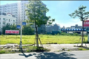 Lô đất gần 4.000m2 đang tranh chấp bất ngờ bị đem ra đấu giá.