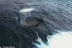 Hình ảnh từ trên cao cho thấy nước biển tiến đến từ bốn hướng khác nhau, rồi bùng nổ va chạm ở giữa.