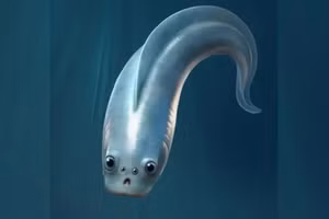 Hình ảnh do nghệ sĩ phục dựng về loài Myllokunmingiid, là loài động vật có xương sống cổ nhất được biết đến với 4 mắt trên đầu.