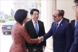 Tổng thống Abdel Fattah El-Sisi đón Chủ tịch nước Lương Cường và Phu nhân. (Ảnh: Lâm Khánh/TTXVN)