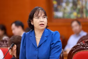 Bà Đoàn Thị Thanh Mỹ, Phó Cục trưởng Cục Quản lý đất đai. (Ảnh: Trường Giang)