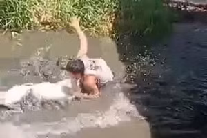 Video du khách trả giá đắt vì vào chuồng cá sấu chụp ảnh