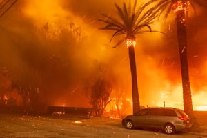 Gió mạnh khiến nỗ lực dập lửa trở nên khó khăn.